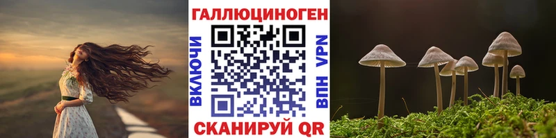 Галлюциногенные грибы Cubensis  Кудрово 